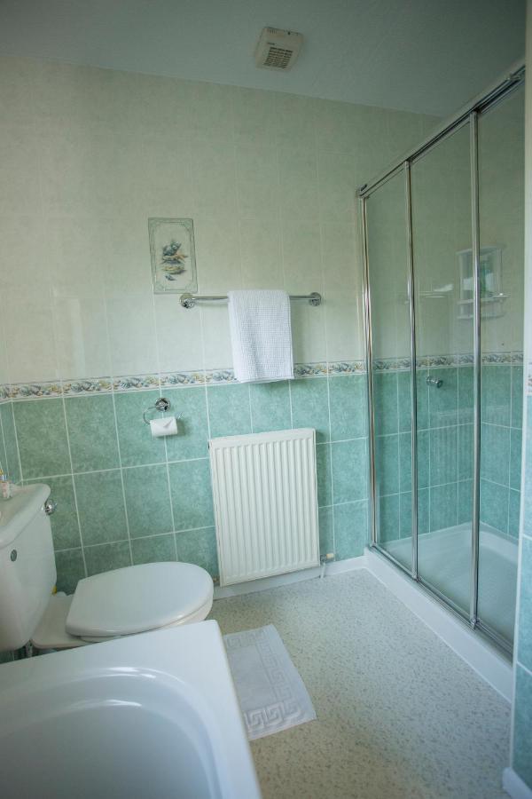 Pant-Y-Celyn Studio Apartment Aberaeron Eksteriør billede